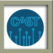 CAST EC site